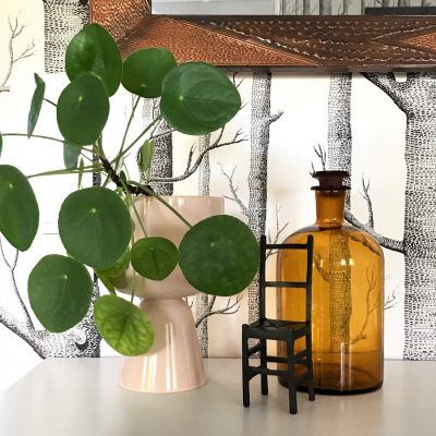 AF0F13EB-A17D-498B-9767-D8E99C854B69